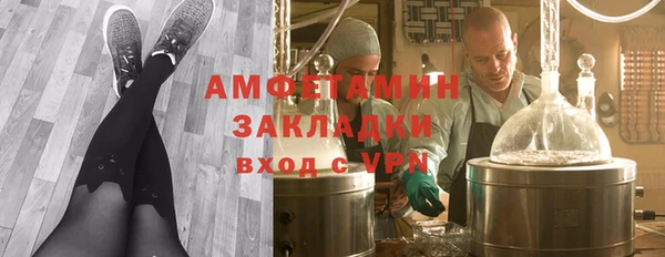мдпв Бородино