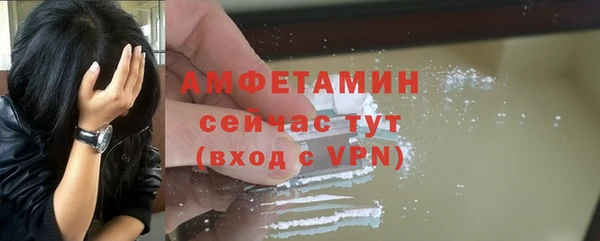 мдпв Бородино