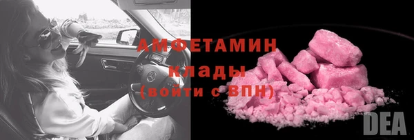 мдпв Бородино