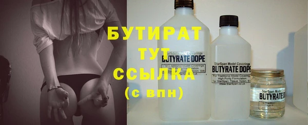 мдпв Бородино
