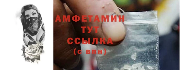 мдпв Бородино