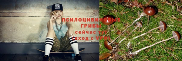 мдпв Бородино