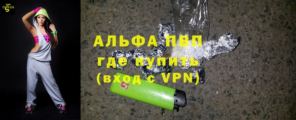 мдпв Бородино