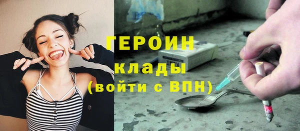 мдпв Бородино