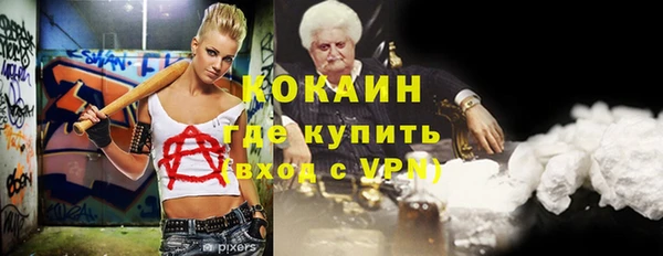 мдпв Бородино