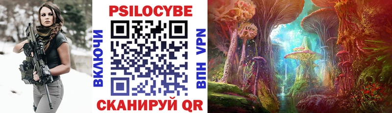 omg ссылки  Пятигорск  Псилоцибиновые грибы мицелий 